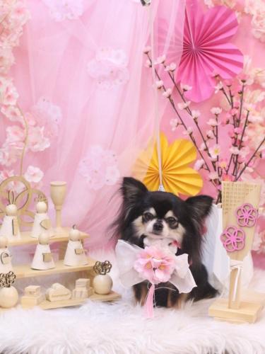 20250325アリューくん